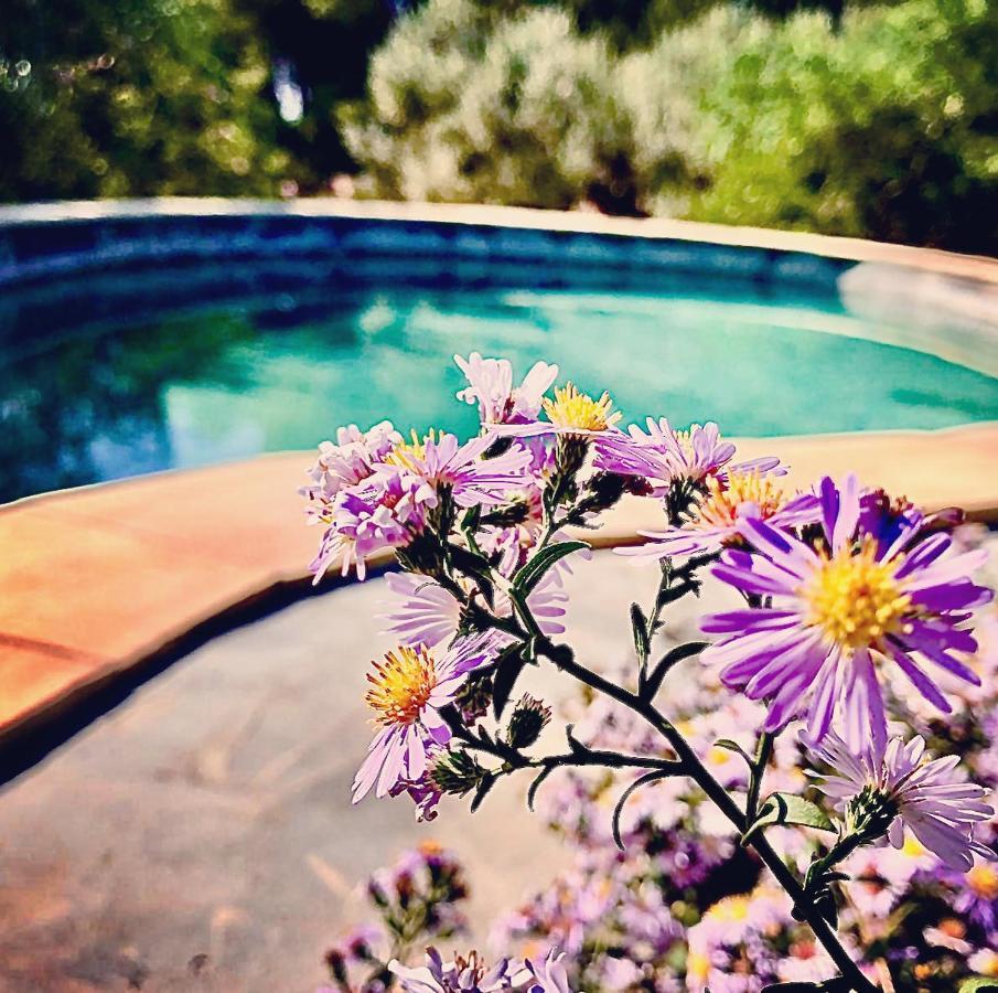 Lacasadelmarametlla L'Ametlla de Mar Εξωτερικό φωτογραφία